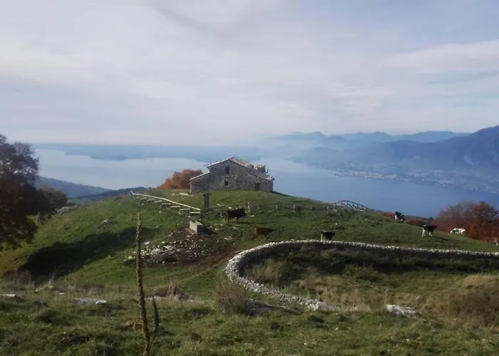 Benacus * Lazise